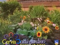 43^ edizione di Cervia Città Giardino – Maggio in Fiore