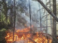 Proroga della fase di preallarme per gli incendi boschivi fino al 6 settembre