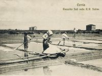 Al Cavadori. Il lavoro delle  donne salinare in mostra a MUSA, museo del sale di Cervia