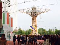 Un aquilone di Cervia in volo intorno all’albero di EXPO