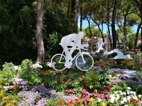 Città Giardino 2020  la città di Aalen con tanti fiori ha contribuito a rendere più bella Cervia