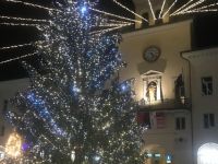 Il grande abete in Piazza Garibaldi verrà acceso mercoledì 8 dicembre alle ore 17.00