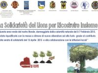 Sette nuovi alberi al Parco Treffz di Milano Marittima donati dai Clubs Lions di Ravenna-Cervia e da altre associazioni di volontariato