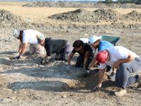 A MUSA museo del sale di Cervia una mostra sulle indagini archeologiche sul territorio