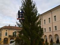 Albero di Natale