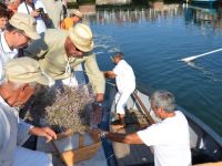 Cervia Sapore di Sale - sabato l'arrivo della burchiella