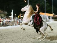 A Cervia gli animali della fattoria,  performance di  teatro equestre e falconeria animeranno il centro storico l’8  e il 9 aprile