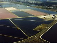 La Salina in concessione al comune di Cervia fino a cinquant’anni previsto nel decreto “mille proroghe”