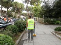 Torna rafforzata l’attività dei volontari per il decoro urbano a Cervia e Milano Marittima