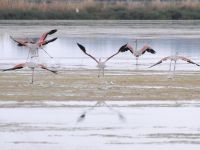 “In Salina tra panorami di Acqua e Cielo”