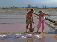 Alla Salina Camillone con “Salinaro per un Giorno”