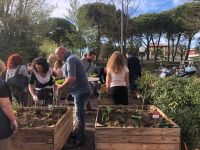 Grande successo dell’iniziativa “INCR!edible: Cervia città commestibile”