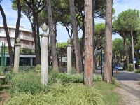 Interventi a Milano Marittima sulle alberature pubbliche