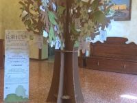 L’albero di comunità parte per l’EXPO