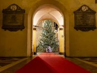 Lunedì arriva il grande abete donato dal Comune di Pinzolo-Madonna di Campiglio