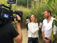 Milano Marittima protagonista su Rai Uno alla Vita in Diretta con il Labirinto Dedalo