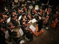 A un anno  dalla tromba d’aria che devastò la pineta di Milano Marittima il lancio di una iniziativa per la rinascita del bosco con le melodie della   grande orchestra “ Città di Cervia”