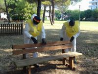 Tante le attività svolte dai rifugiati nel comune di Cervia nel 2107