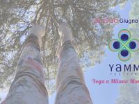 YAMM Festival- dedicato ai piccoli