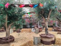 Cervia Città Giardino il Comune di Cervia partecipa anche quest'anno a Giardini di Natale a Faenza