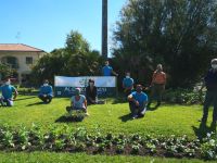 Cervia Città Giardino continuano le collaborazioni