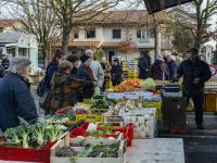 Riaprono i mercati di Cervia