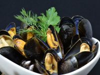 Le cozze del mare di Cervia gratis sulle tavole dei cervesi