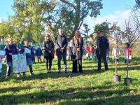 Celebrata la Giornata nazionale degli Alberi