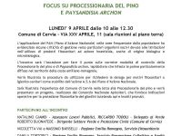 Come gestire correttamente la processionaria del pino e la farfalla delle palme