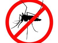 Al CerviaInforma prodotti larvicidi gratuiti per contrastare la proliferazione delle zanzare