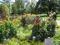 Cervia Città Giardino un angolo di Cervia a Stoccarda